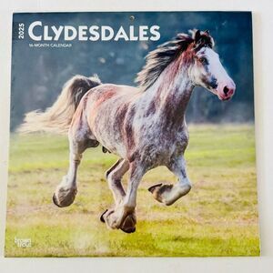 Browntrout Clydesdales Equestrian 2025 12 x 12 Wall Calendar